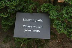 photo credit Quinn Dombrowski via flickr (cc)