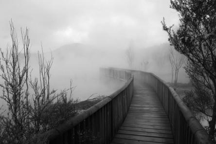 bridge into fog